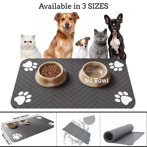 Large pet feeding - pet,