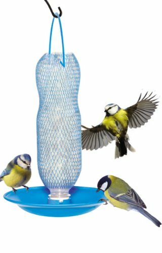 Neat ideas bottle - bottle, top