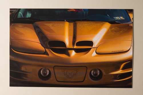 2000 pontiac firebird - firebird, trans
