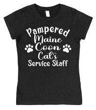 Pampered Maine Coon Cat's