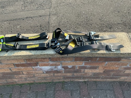Schroth race harness - race,