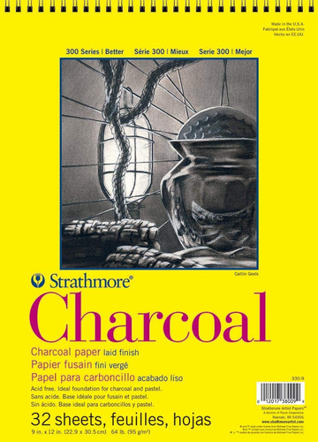 Pro art strathmore - strathmore, charcoal