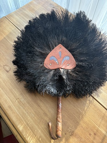 African ostrich feather and - african,