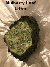 Dried Mulberry / Nettle Leaves