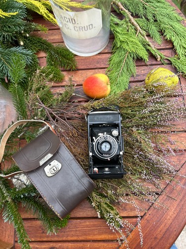 Antique vintage bellows camera - vintage,