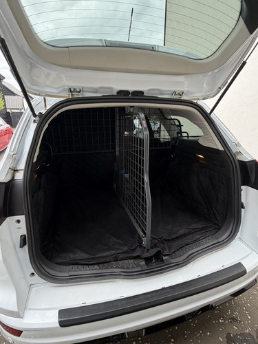 Travall ford focus estate dog - ford,