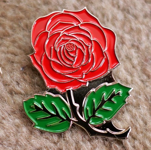 Labour political party - party, red