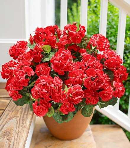 8pcs artificial geranium - 8pcs,