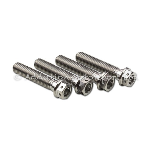 Titanium front fork pinch - titanium,