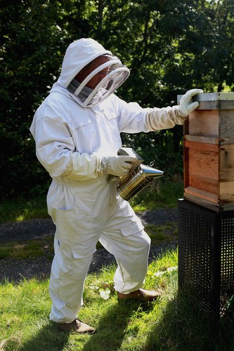 Beekeeping suit with fencing - with,