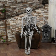 Life-size Human Anatomy Skeleton 170cm Halloween Giant Full Size Bones Prop Deco