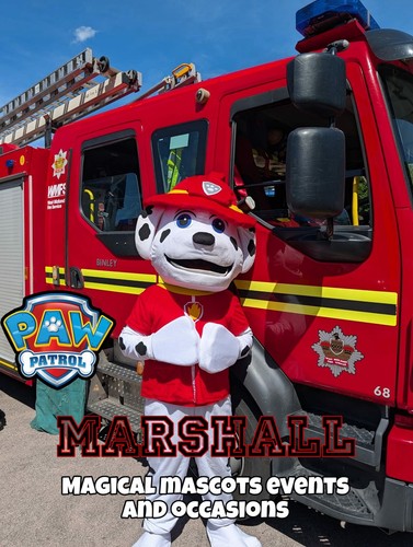 Mascot character costumes - character,