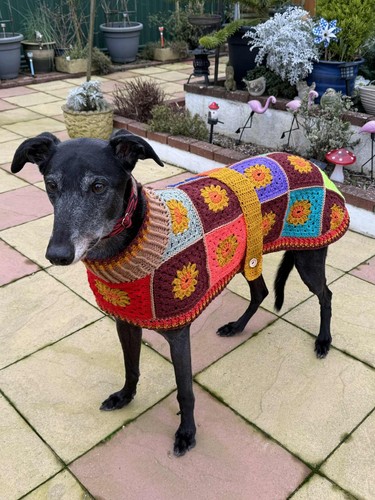 Hand crochet greyhound coat - crochet,