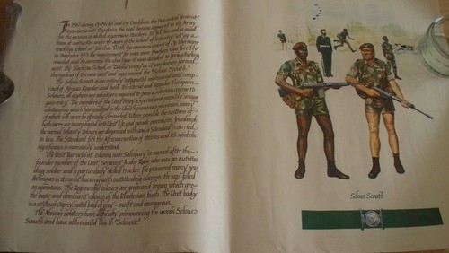 Rhodesia selous scouts - rhodesia,