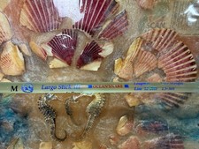 Spinning Rod - LARGO STICK III