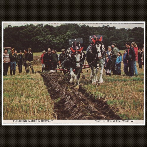 Rowfant ploughing match horse - match,