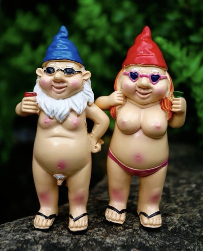 2pcs garden gnomes - garden,