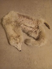 VINTAGE ARCTIC WHITE FOX FULL