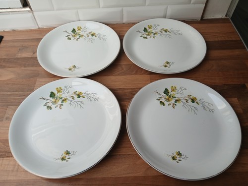 Vintage alfred meakin wild - alfred,