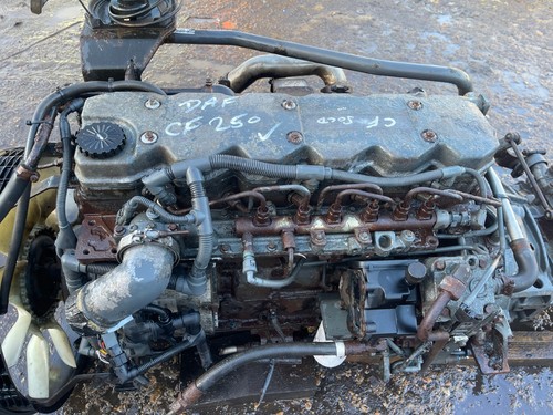 Daf cummins paccar - ,