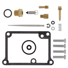 Carburetor Rebuild Kit For