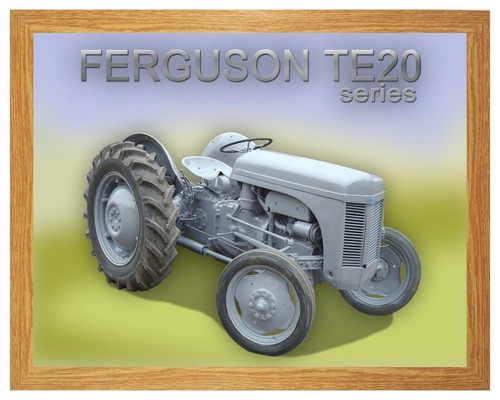 Ferguson te20 series little - te20,