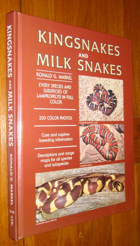 Kingsnakes and milk snakes - milk,