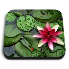 Square MDF Magnets - Pink