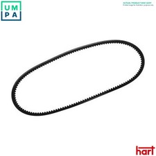 VBELT 305 585 FOR VW SANTANA