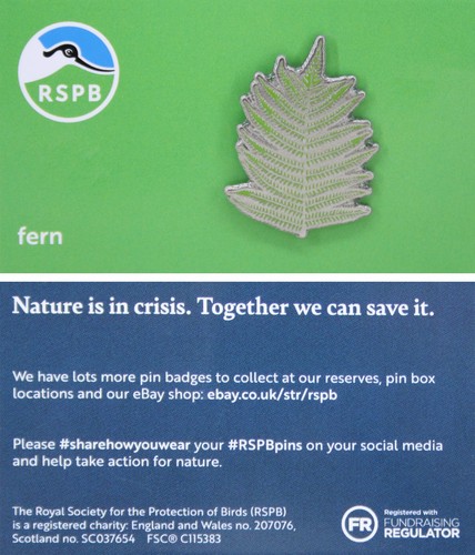 Rspb pin badge niic fern - pin,