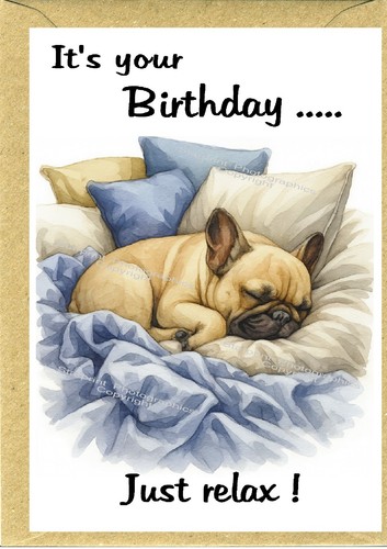French bulldog frenchie - french,