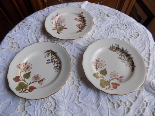 Set antique royal - antique,