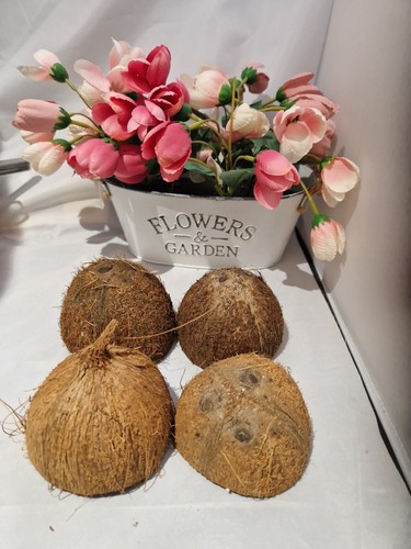 Coconut shell halves uk - halves-, 4