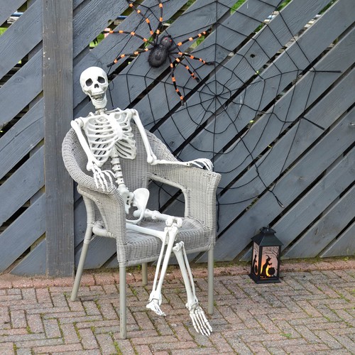 Life size skeleton - size,