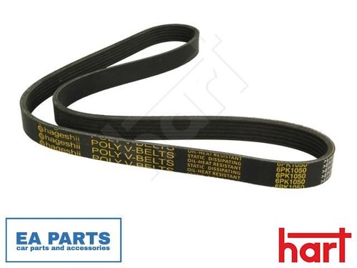 Ribbed belt for - for, bora