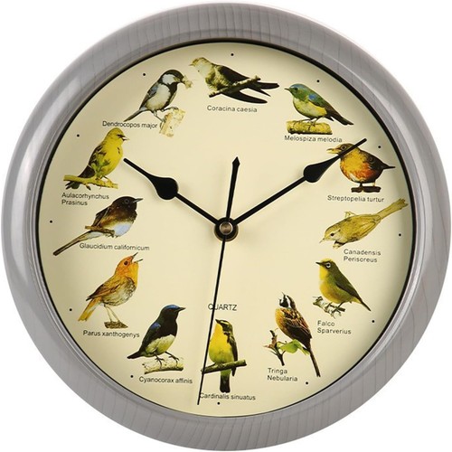 Species bird song clock 10 - 12,