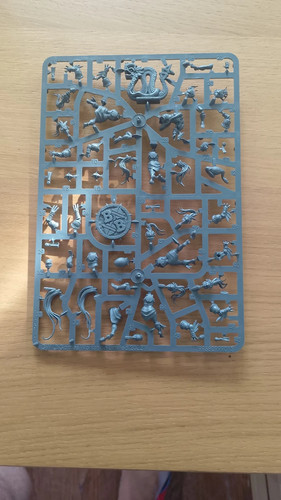 Full sprue amazon blood - 1,