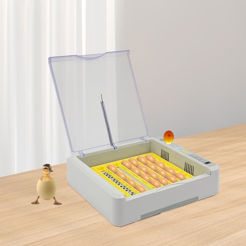 Egg incubator hatching machine - egg,