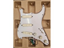 Fishman Fluence Loaded