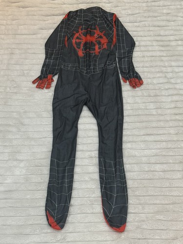 Spider man into - spider-man:, the