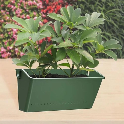 Wall hanging planter - plant, pot