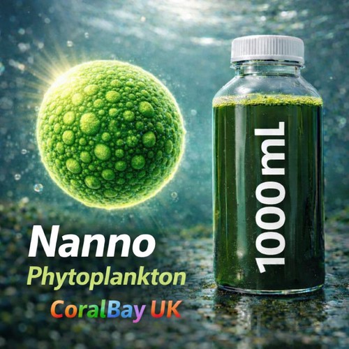 Litre nannochloropsis - litre,