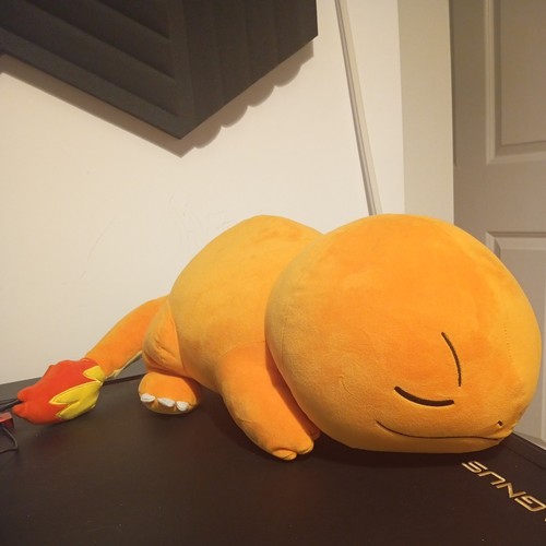 Sleeping charmander pokemon - sleeping,