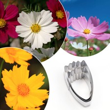 3PCS Coreopsis Flower Mold