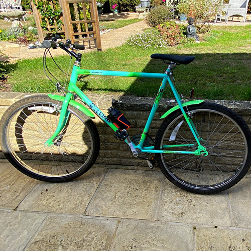 Raleigh lizard all terrain - lizard,