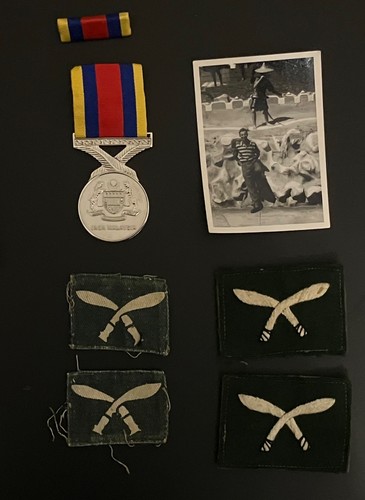 Malaysia pingat jasa - pingat,