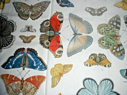 John derian fabric - derian, "mirrored