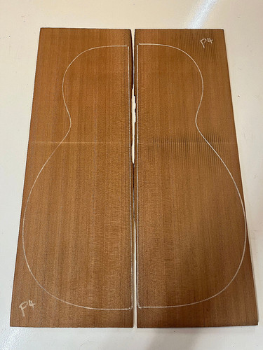 Coastal redwood acoustic - coastal,