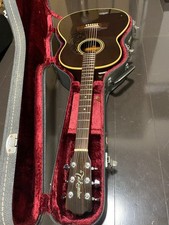 Acoustic Guitar Takamine Safe