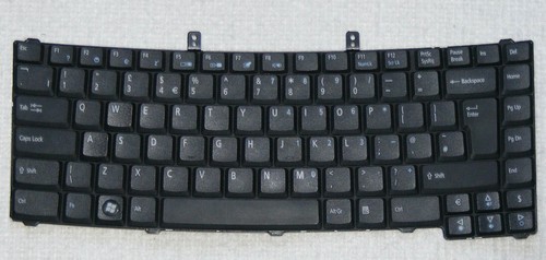 Genuine acer extensa - acer, uk